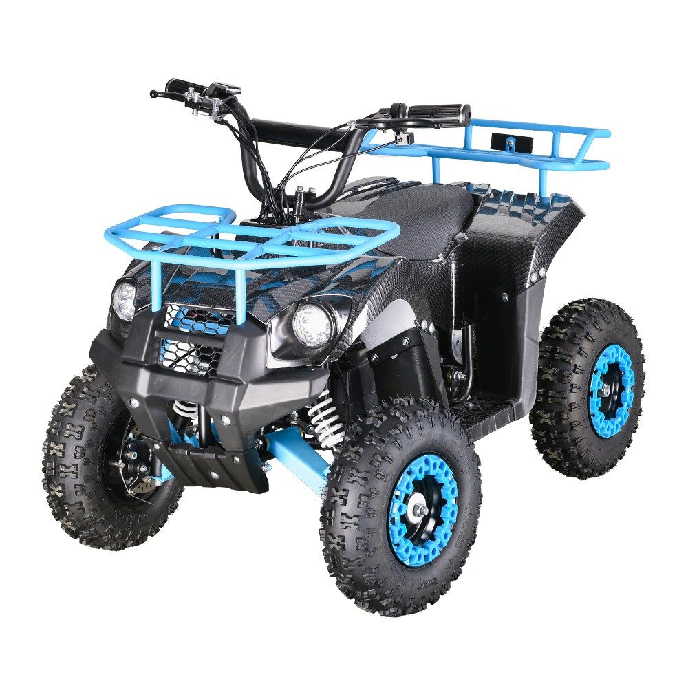 Електричний квадроцикл для бездоріжжя 48В/12Аг 1000 Вт/14x5 QuadroX квадроцикл на акумуляторі електроквадроцикл для прогулянок, фото 1